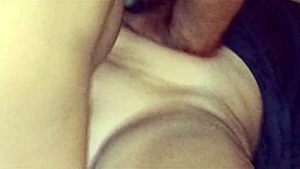 Pauzudo handles all the brunettes with his big black cock.