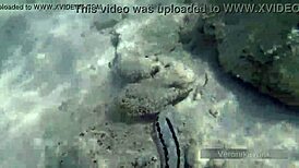 Public Exhibitionist German Teen Veronikavonk Flashes Big Boobs On Sea