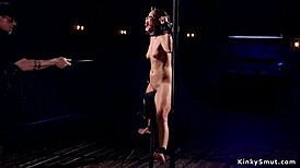 Tanned Slut Choked, Gagged, And Hard Flogged In Rough Bondage!