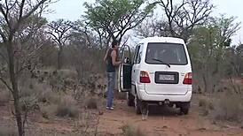 i'm in this wild african safari sex orgy with big cocks