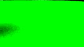 Pregnant wife craves doggystyle dick!