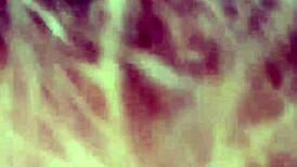 Gay blowjob scene unfolds in a simple encounter.