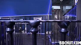 gets into d and bbc ray black jill taylor