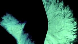 dark lantern presents victorian erotic confessions