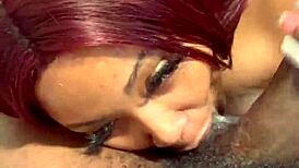 Miss Exquisite gives sloppy head to her neighbor 😜