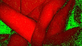 Couple engages in rough face fucking session