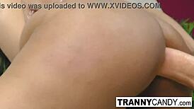 renata farias strokes her big cock with dildo and blowjob