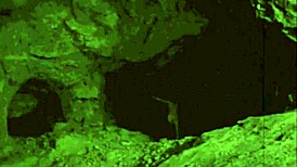 Vintage Halloween Porn with Hairy Pussy in Retro Style