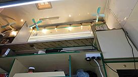 this crazy european girl loves getting upskirted at work for cash