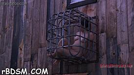 Videos of Sadomasochism