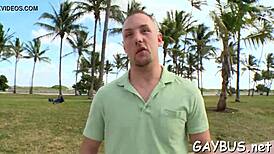 Passionate gay bear scenes filled with intense emotions