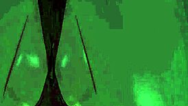 I Face-Sat the Anime Elf