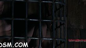 Videos of Sadomasochism