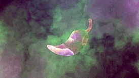 Hard Ass Tutorial for Beginners and Ass Climbers 😈