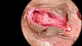 Close-Up of Hairy Pussy in HD Sex Textures by Rumesco