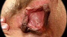 Close-Up of Hairy Pussy in HD Sex Textures by Rumesco