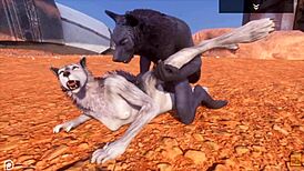 Alpha wolf devours tasty she-wolf in wild life furry adventure