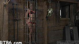 extreme sadomasochism with detailed bondage and pain