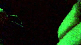 gay guys engage in blowjob and facial sex