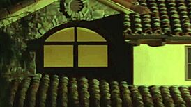 dildos and wild games at tonight's hot swinger party