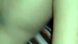 Jessy Mi's Favorite Companion Relaxing