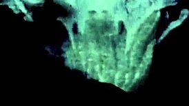 सेक्स कन्फेशन्स