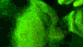 Mature Latina Anna Maria Gives Retro POV Blowjob to Husband