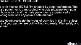 they brought the peculiar kitten to the anal madhouse for some awkward ass licking and fucking.