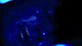 Casual-Narrative Stripteasing Aliz Craves BBC in Her Tight Ass