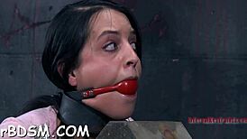 i tied up this marvelous babe and whippd her body so hard