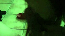 The raw milf comadre sucking the big cock