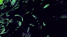 ट्रिप पर ऑर्गेज्म के दौरान चीखी मैं