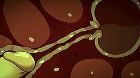 Eren bangs gothic Mikasa hard until unloading inside - Shingeki no Kyojin