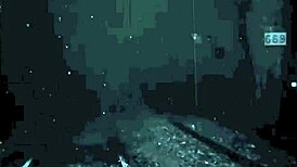 What secrets hide in vintage erotic drawings?