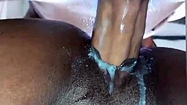 Novo video gay amadores