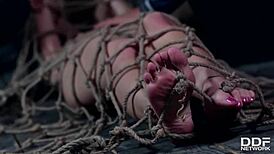 realtor and client humiliate bound teen kristy black in dp