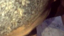 I join the bareback gay orgy with big cocks and blowjobs in public