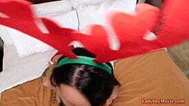 Christmas Ladyboy Fairy Blows Dick And Barebacked