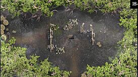 What Mysteries Unfold in Lust Epidemic Part 21 Gameplay?