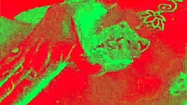 Caroleta Roots Goes To Cum In Tight Pussy With Oral And Cumshot