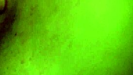 Stop Studying And Kiss Brunette