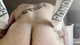 Little Bear Begs For Cock