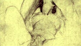 Vintage Erotic Drawings Showcase Sensual Antique Anime Style