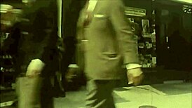 Interracial Taboo Chocolate & Ginger