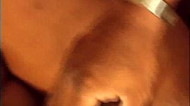 Budonkadunk volume 14 scene 3 features riding cowgirl with big ass titty fuck and facial