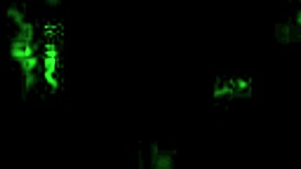 Look At This Vintage Erotic Illustration!