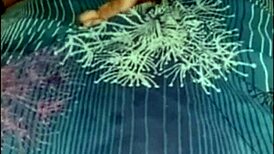 Wow, Just Massaged Mother-in-Law and She Wants to Screw Part21! 😲