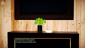 My new family adventure