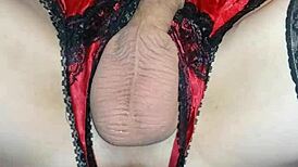 love feeling my thrusting dildo slide deep into me every time.