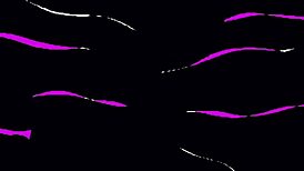 animated erotica with king noire and kendal good featuring dirty talk